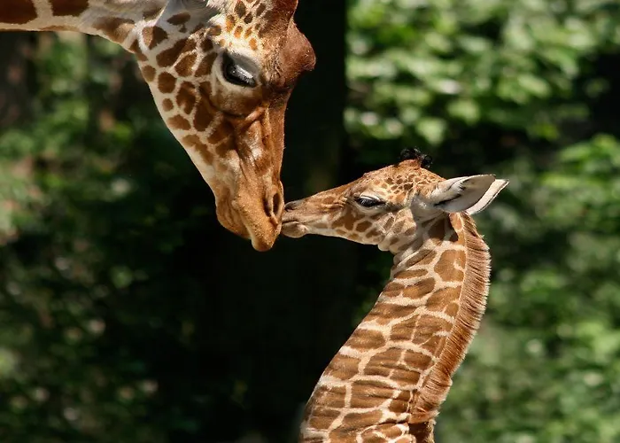 Weber Hotel 117 2* Amsterdam